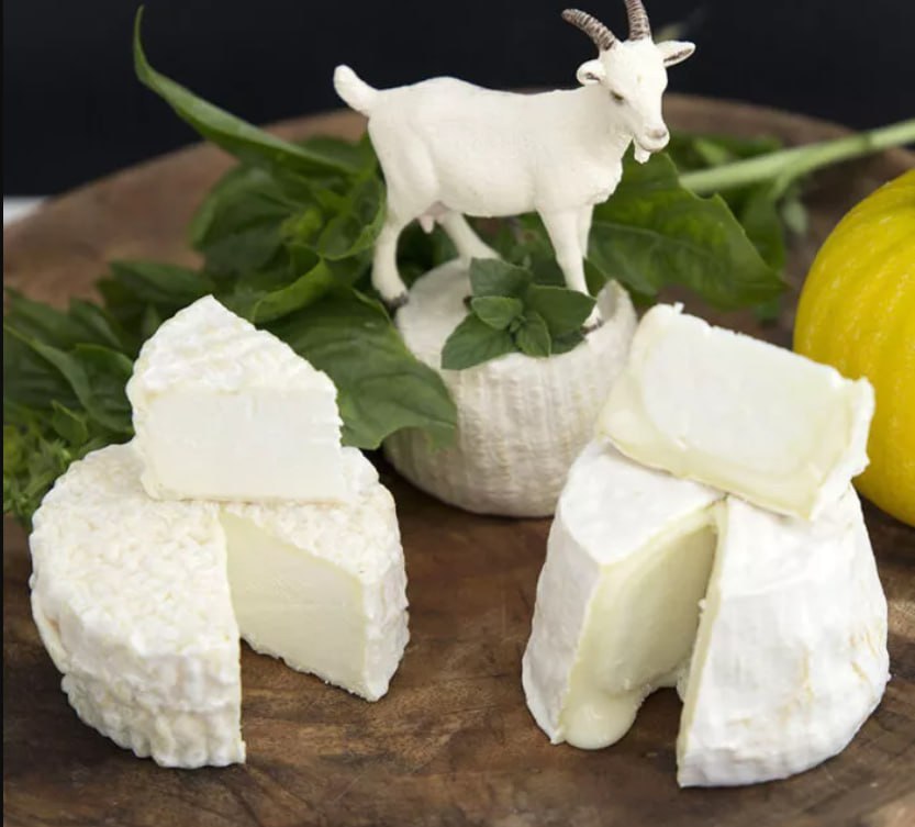 I benefici del consumo di formaggio di capra per l’organismo